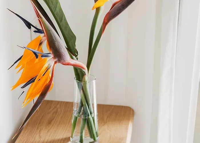 Sanremissimo & בית הארחה סנרמו